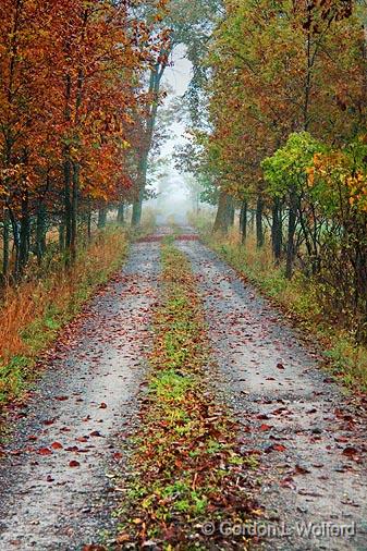 Autumn Farm Lane_08557.jpg - Photographed near Carleton Place, Ontario, Canada.